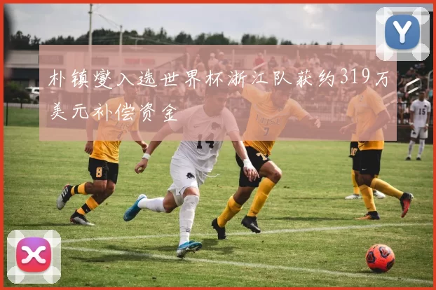 朴镇燮入选世界杯浙江队获约319万美元补偿资金